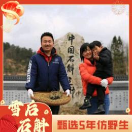慧兰仿野生石斛