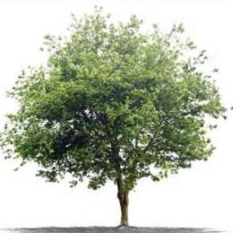 环球行阅览全球