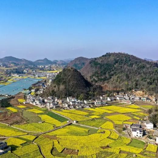 大众经济生活网