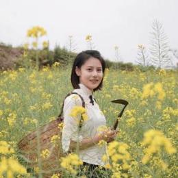 平妹儿