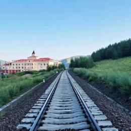 迷彩下的浣熊先生