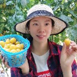 我是大西北姑娘