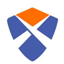 企安信信管咨询服务