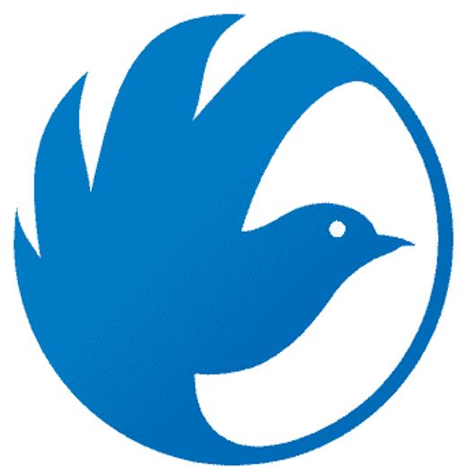 开灵财税数字化王老师