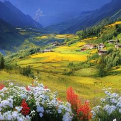 旅游体验家璐璐