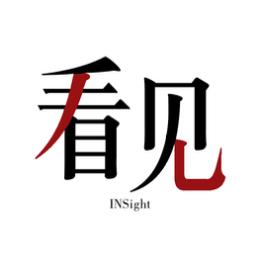 看见Insight