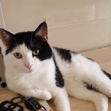 青山不语精选品牌榜