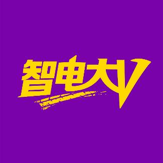 智电大V