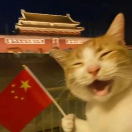 大喵六霸柔性夹持