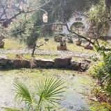 如果你是开心的