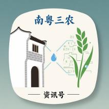 南粤三农
