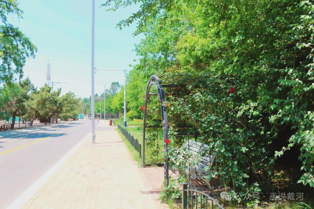 今中海滩路东段美景