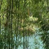 开心快乐致敬一天