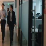 自由的风在飞翔