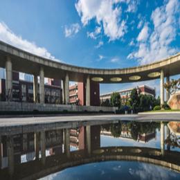 爱吃葡萄的小亮