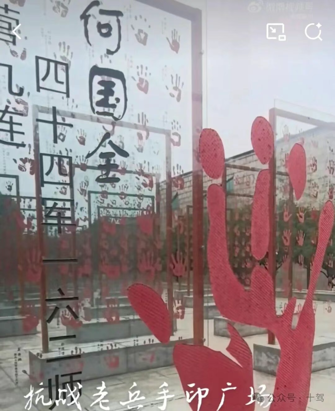 （图片来自建川博物馆发布的视频截图）