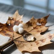 日常碎片微观记