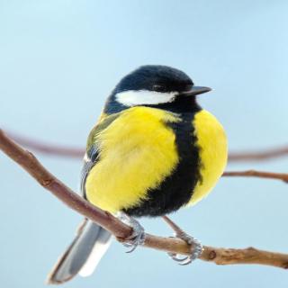 天边夕阳无限好