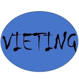 VIETING观点