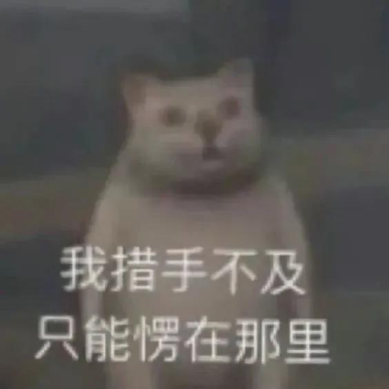 E句话| 在西藏办烟花秀的品牌已道歉？