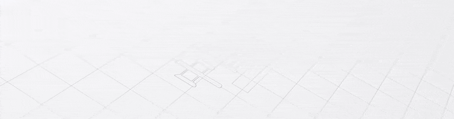 今晚！黑天鹅！