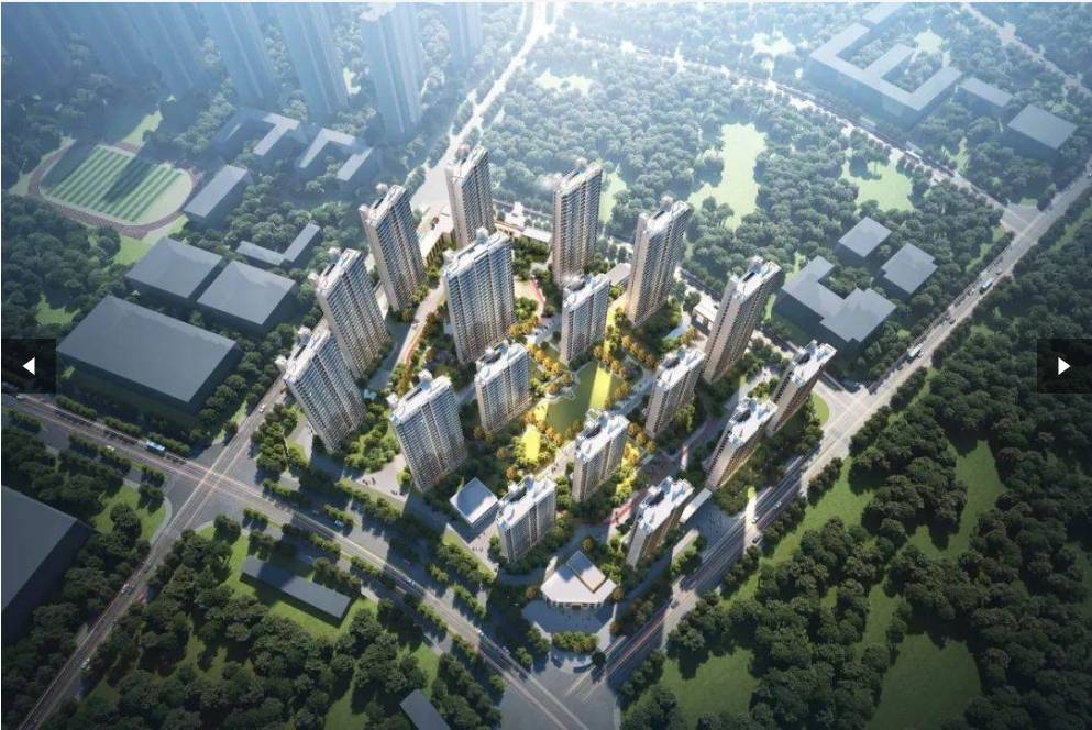 售楼部电话：0551-6258 9933