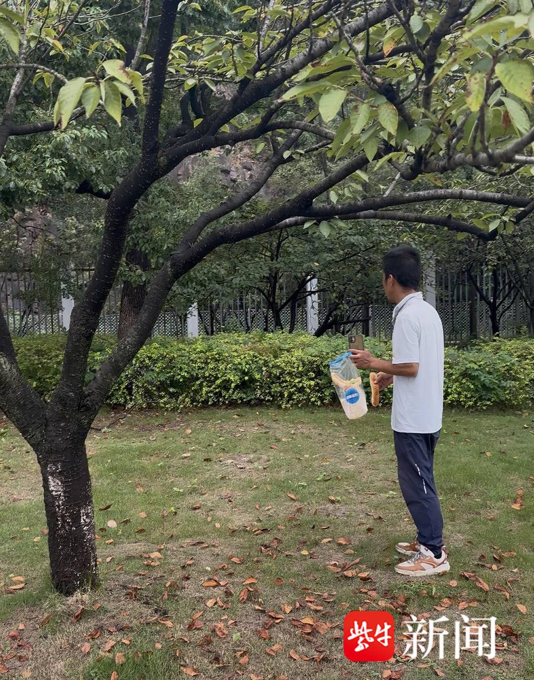 街边商贩正在投喂野生猴子