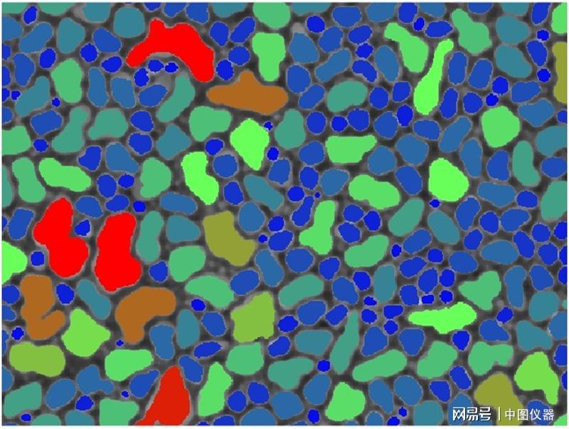 颗粒尺寸分布图