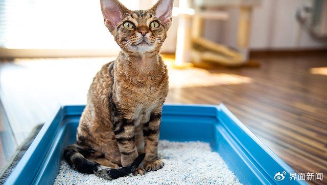 图片来源：视觉中国