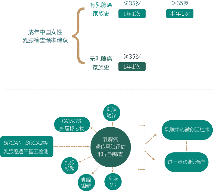 爱康iKangCare+乳腺癌解决方案