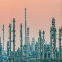 小小环境观察员