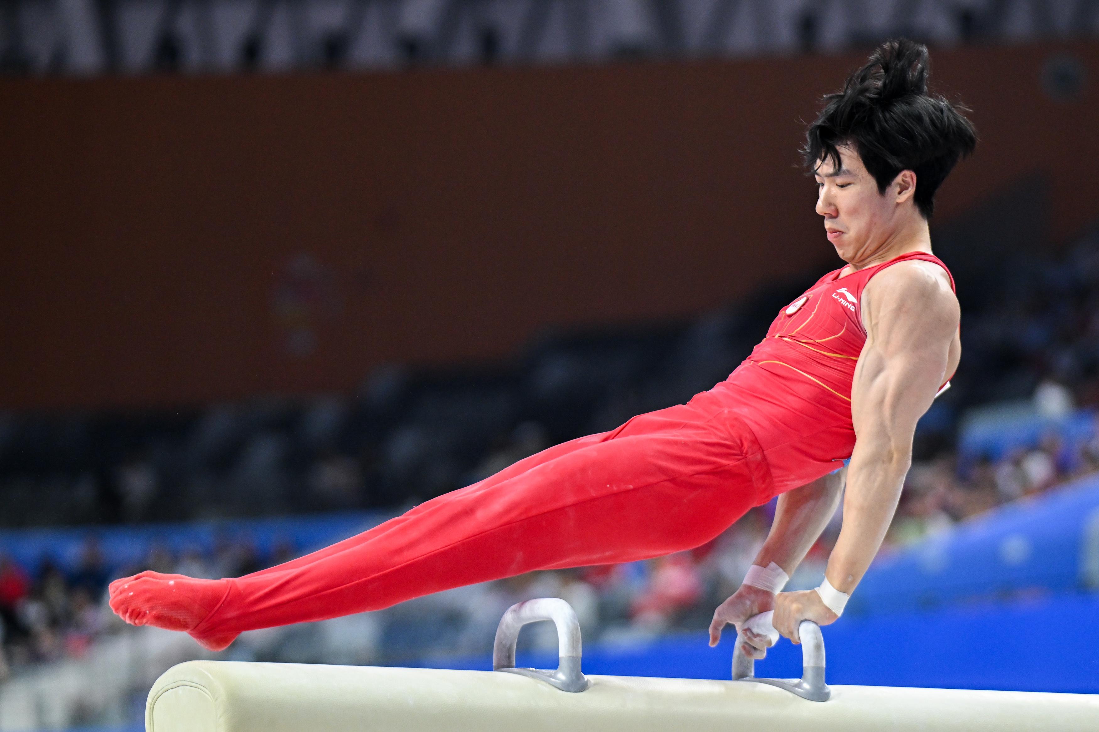　　11月12日，湖南队选手张博恒在鞍马比赛中。新华社记者 杜子璇 摄