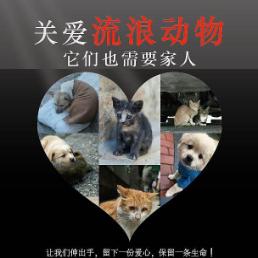 动物伊甸园故事