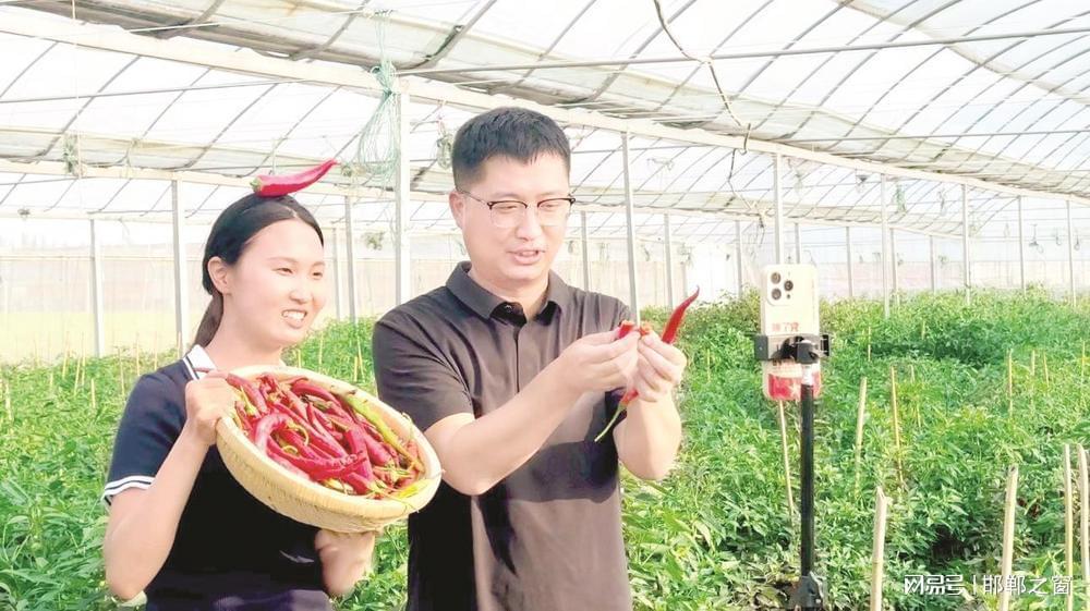 图为鸡泽县椒农正在直播卖辣椒。田杏娇 摄
