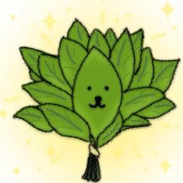 智能新视界科技