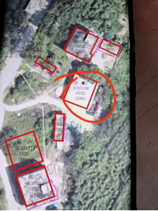 （张女士提供）