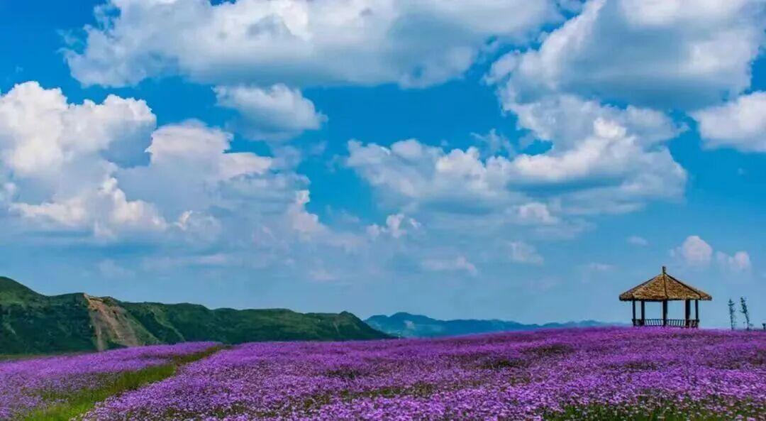 黔西南州兴仁放马坪景区