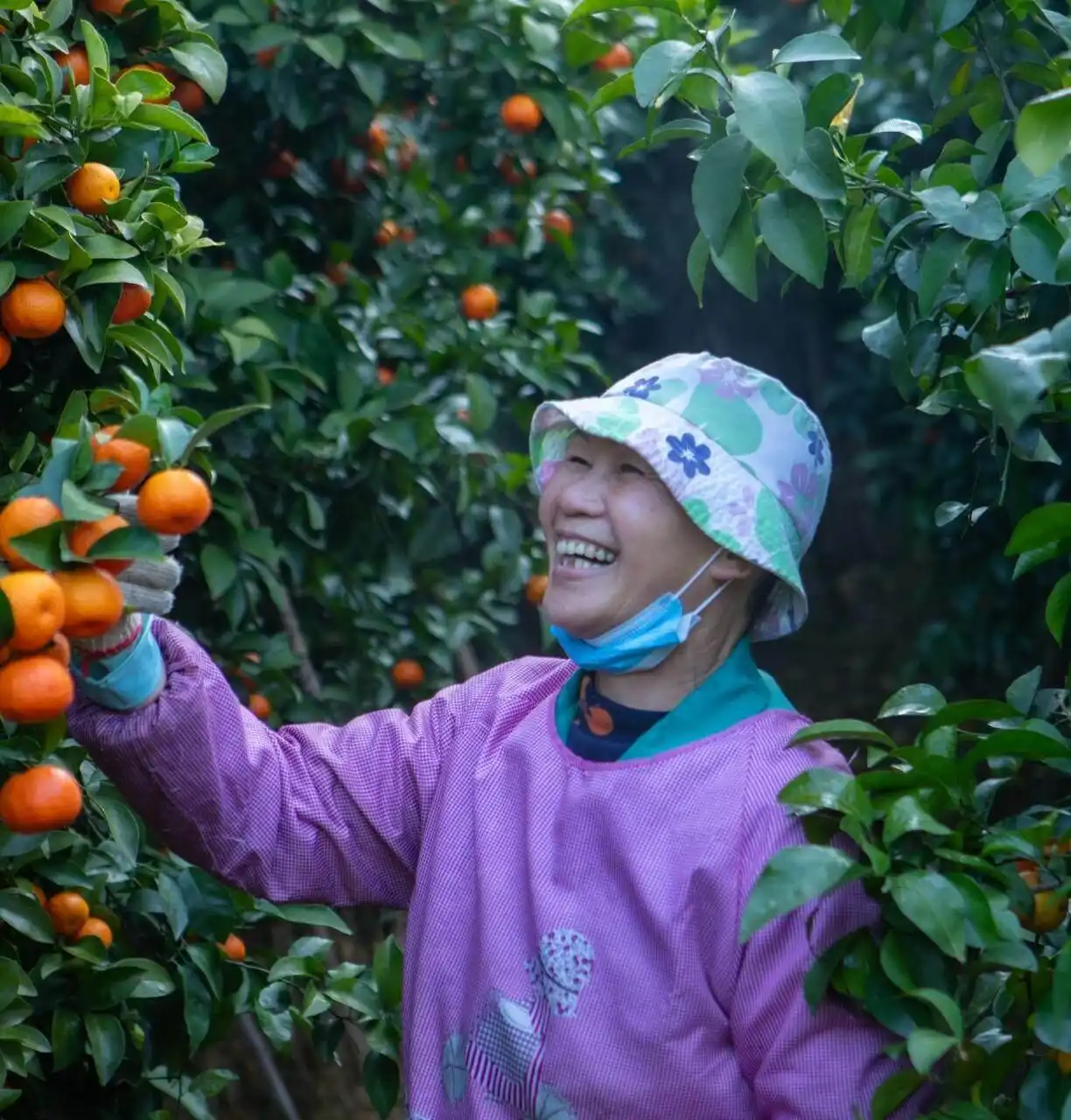 图源：羊城晚报