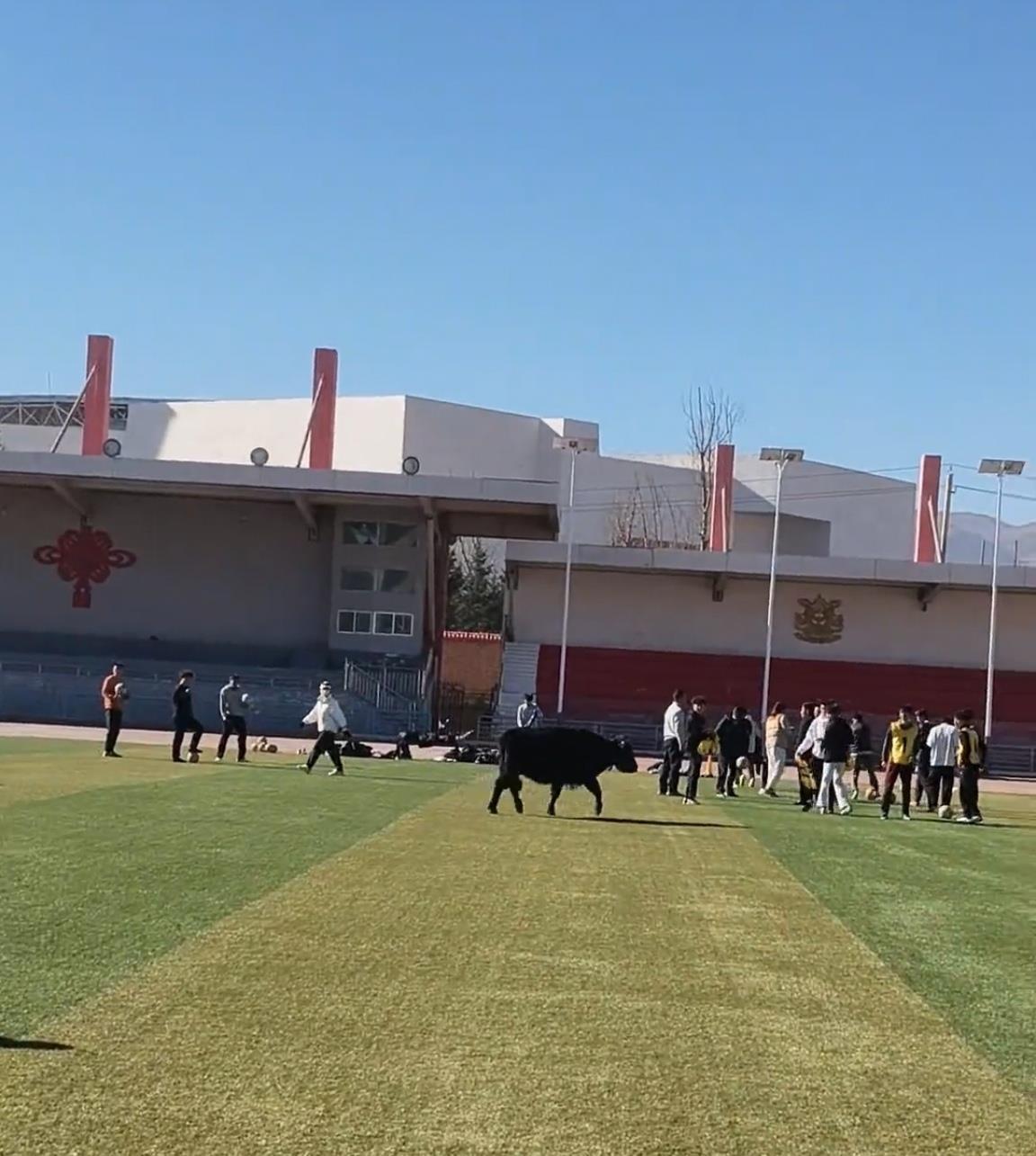 来源：网友拍摄视频截图