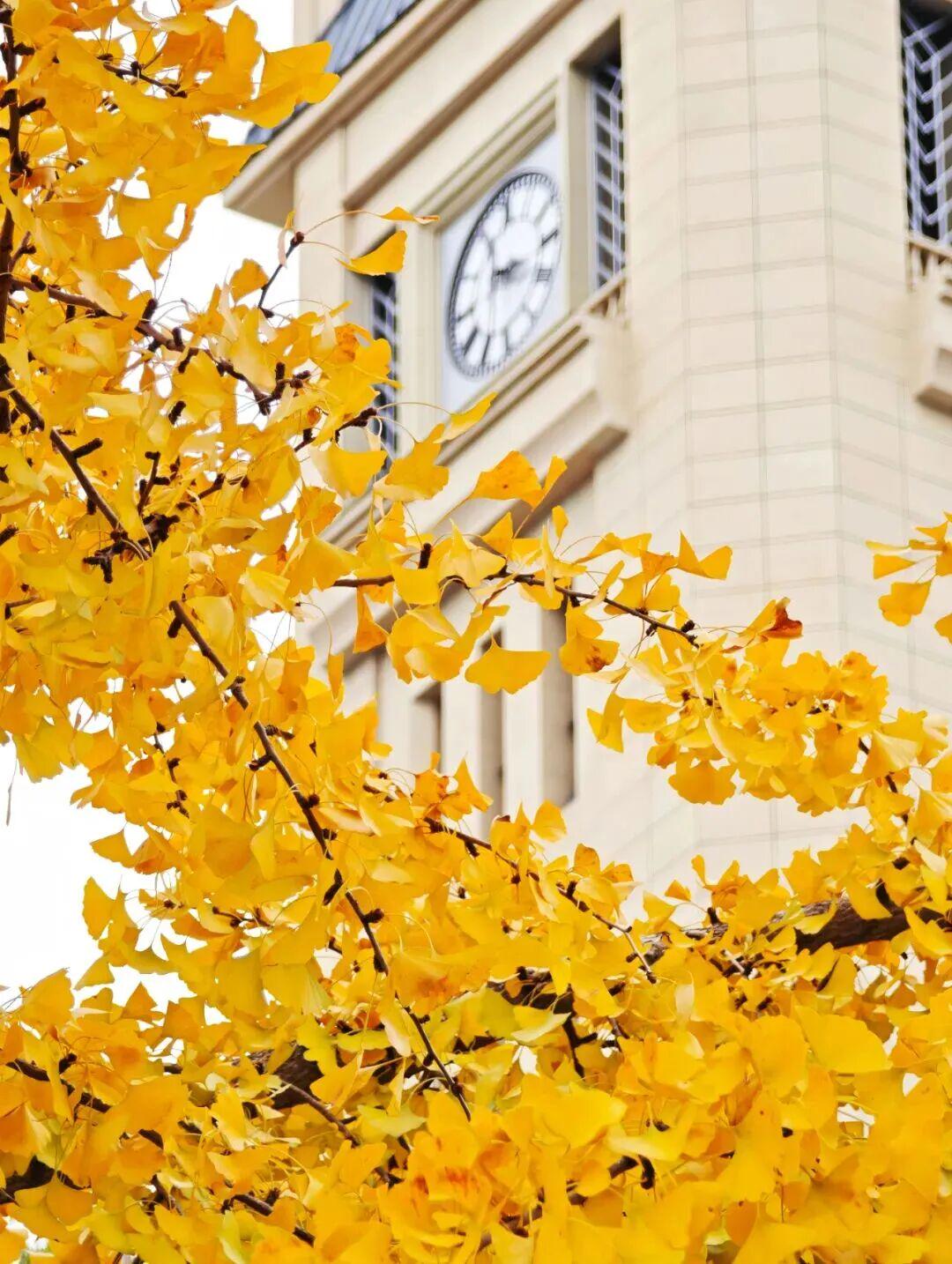 图源：电子科大官微