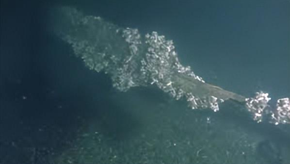 纪录片里桥下的独特潜水点