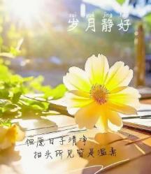 小朱同学的温暖日记