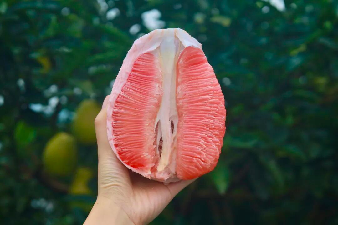 图源：广安区微发布