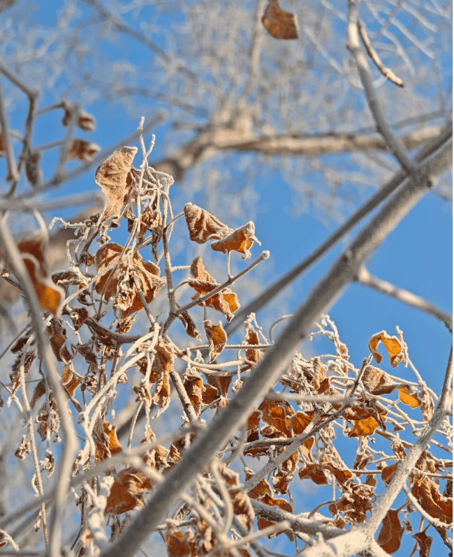 哈尔滨旅游攻略