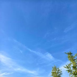 生活观察员小郭