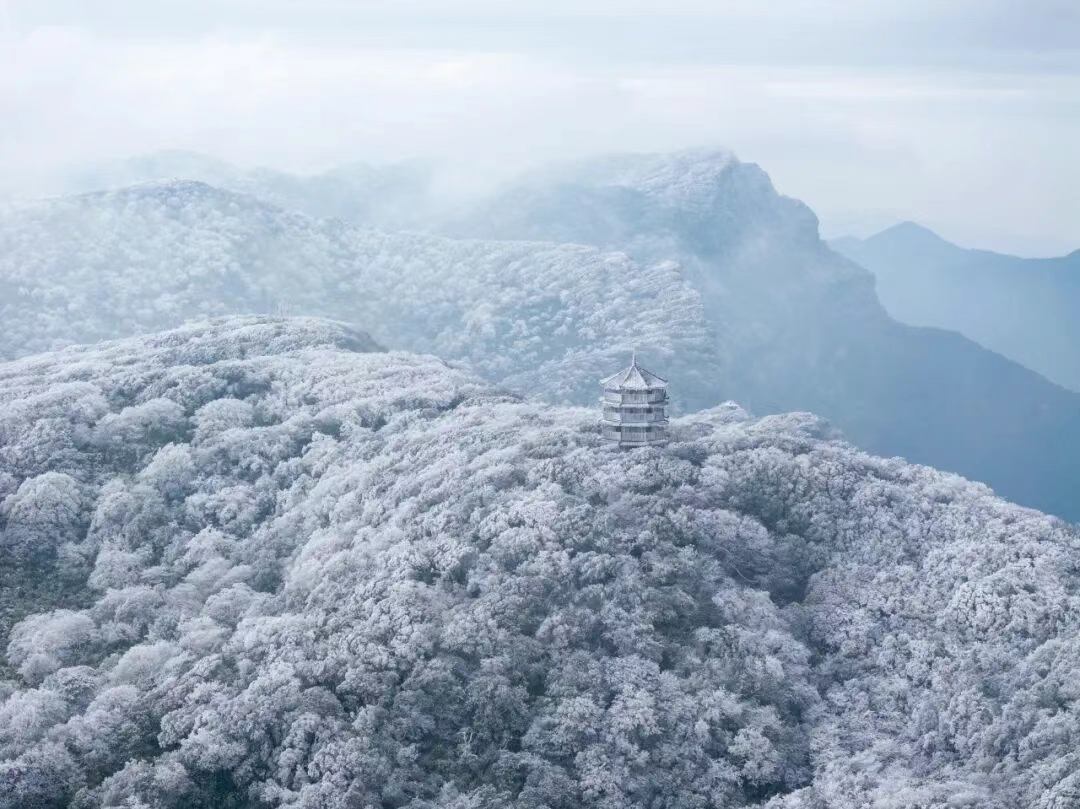 图源：金佛山旅游