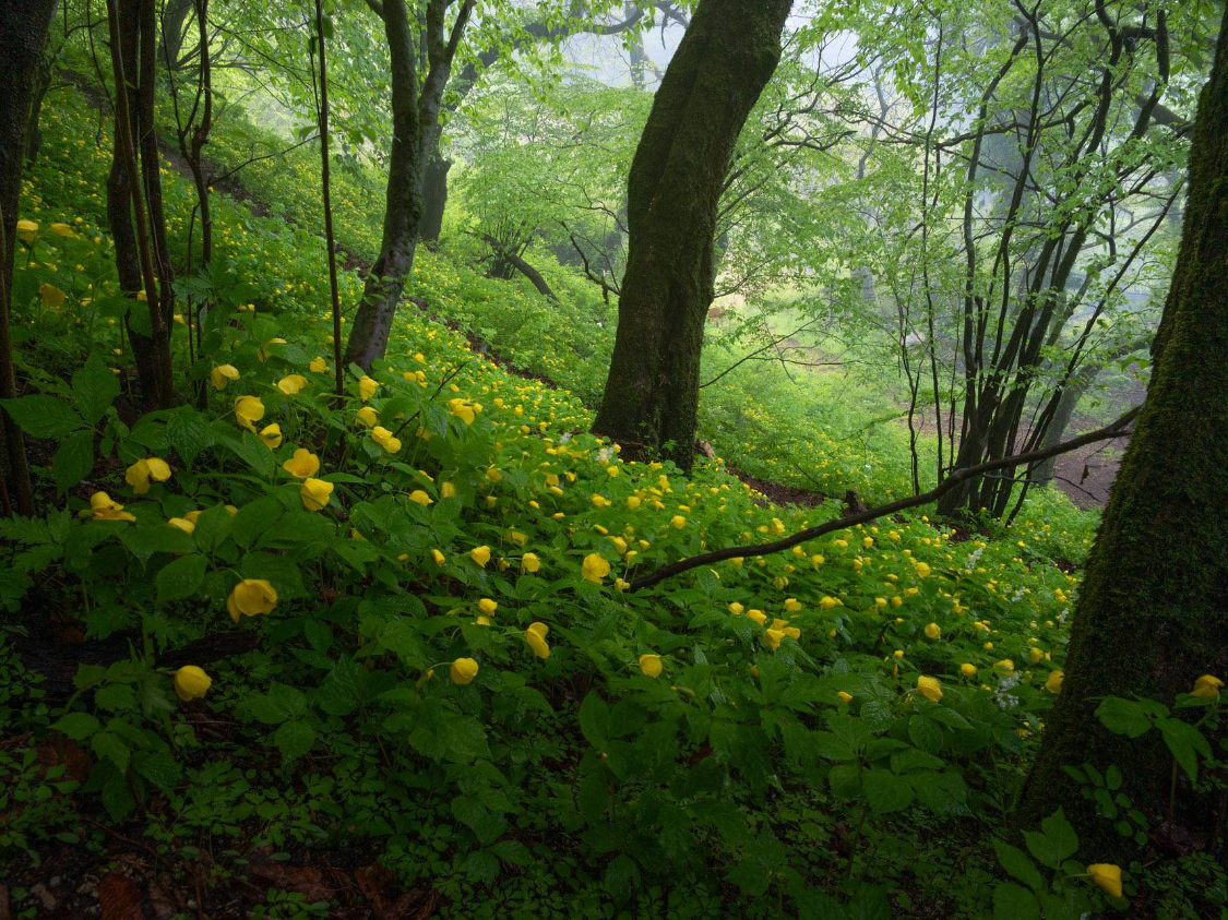 未来半个月，财神爷点名，3生肖大喜天降，横财入宅，走路捡到钱