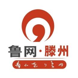 鲁网新闻滕州频道