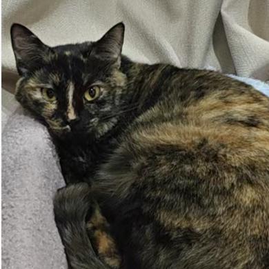 热爱生活小彩虹