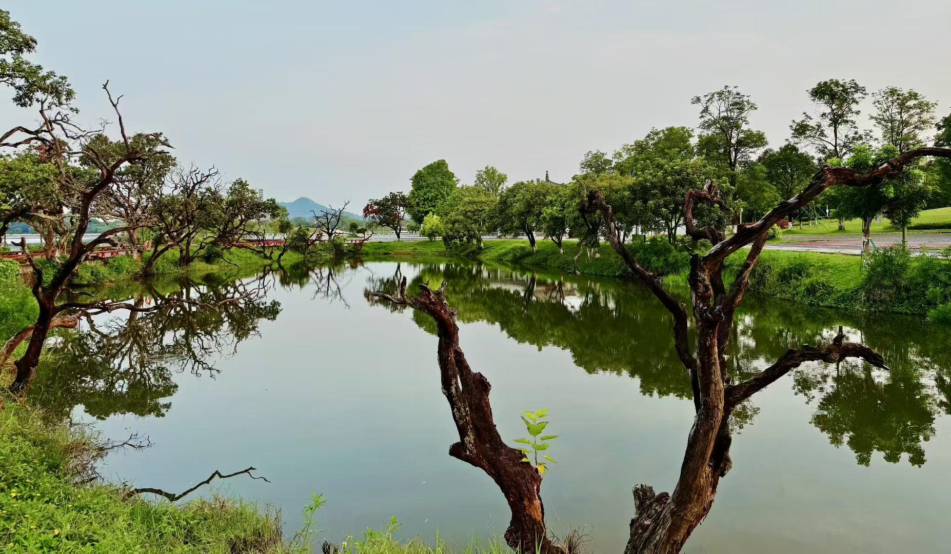 又是一年岁末时